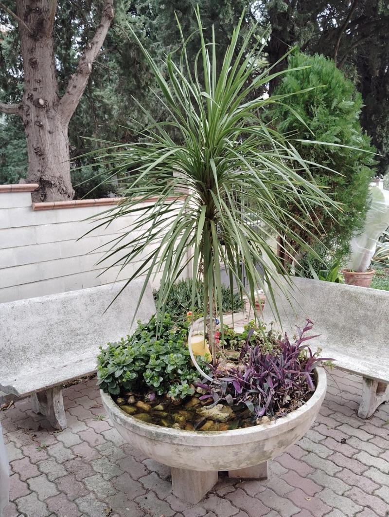 Short Lets Pescara Apartment Екстериор снимка